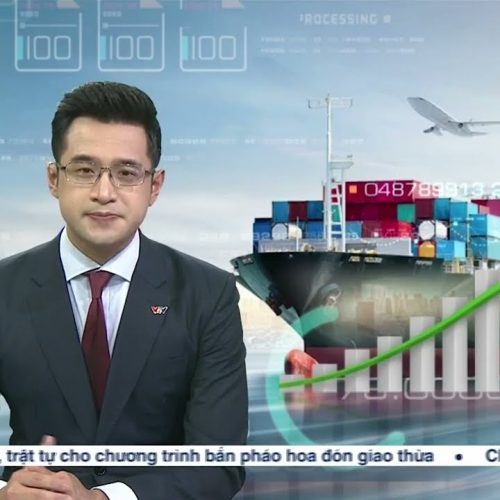 Kangaroo trên sóng Bản tin Thời sự Đài truyền hình Quốc gia