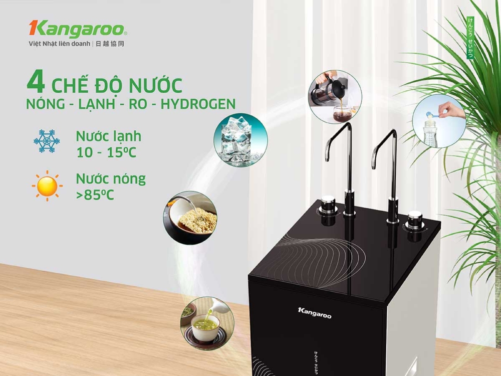 4 Chế độ nước 