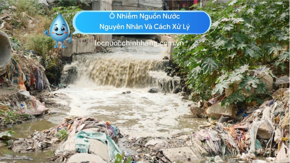 Ô Nhiễm Nguồn Nước: Nguyên Nhân Và Cách Xử Lý