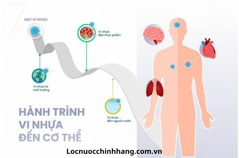 Vi hạt nhựa trong nước uống